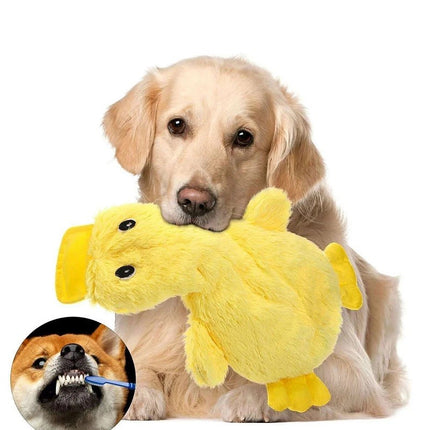 Pet Calming Crinkle Squeaky Duck Toy for Fetch and Chew